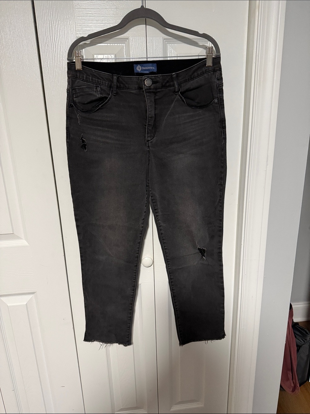 Democracy Ankle Jeans
